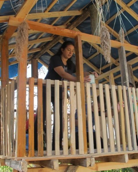 Name:  IMG_0315 (481 x 600).jpg
Views: 1282
Size:  50.5 KB