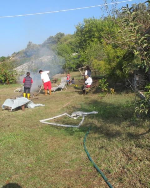 Name:  IMG_0305 (481 x 600).jpg
Views: 1045
Size:  52.8 KB