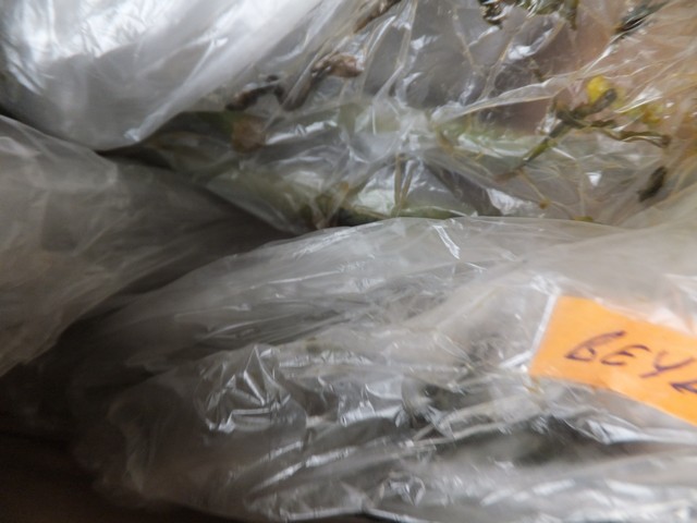 Name:  DSCF7912.jpg
Views: 402
Size:  67.0 KB