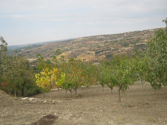 Name:  sonbahar.JPG
Views: 1289
Size:  56.1 KB