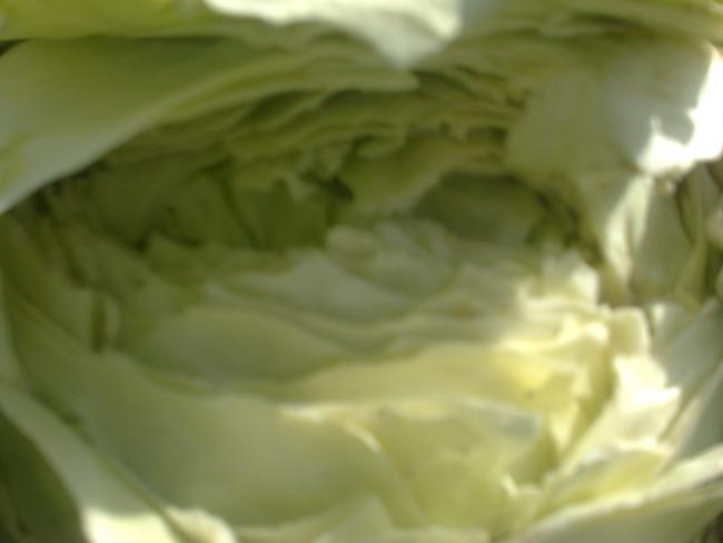 Name:  18102012840.jpg
Views: 1077
Size:  19.9 KB