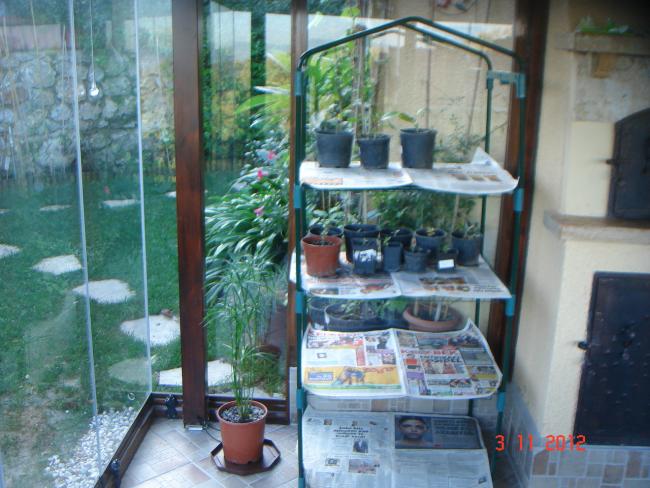 Name:  DSC01138.jpg
Views: 1780
Size:  56.1 KB