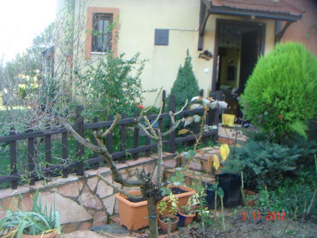 Name:  DSC01216.jpg
Views: 657
Size:  62.4 KB