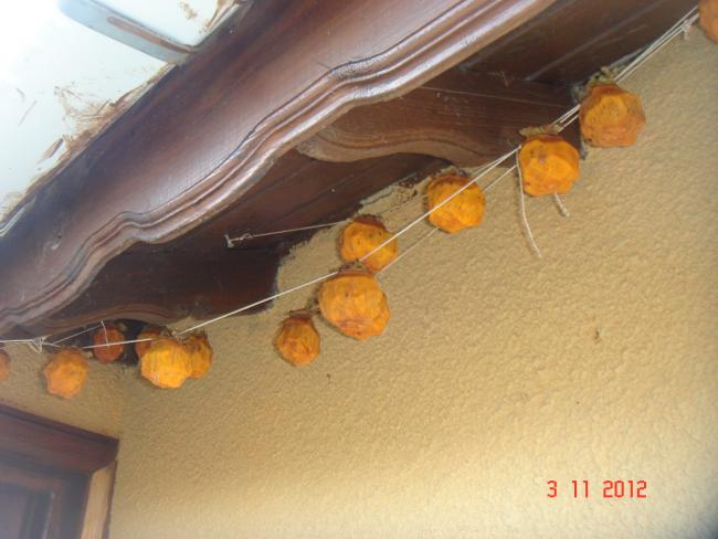 Name:  DSC01125.jpg
Views: 605
Size:  40.8 KB