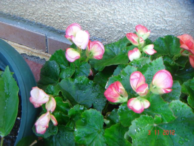 Name:  DSC01240.jpg
Views: 659
Size:  53.2 KB