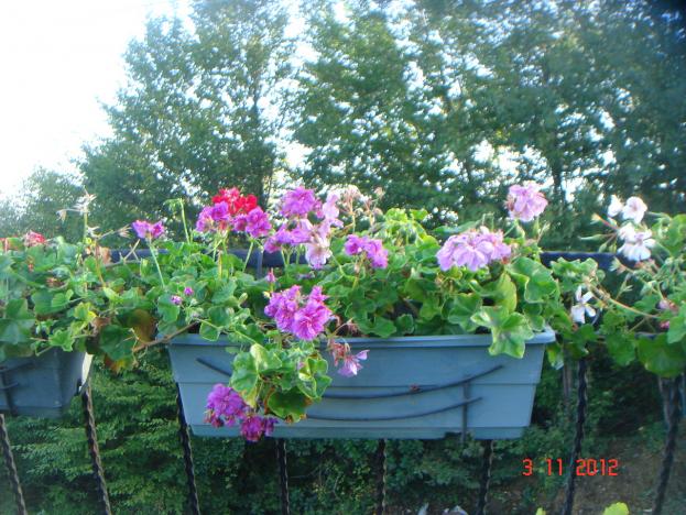 Name:  DSC01175.jpg
Views: 742
Size:  70.9 KB