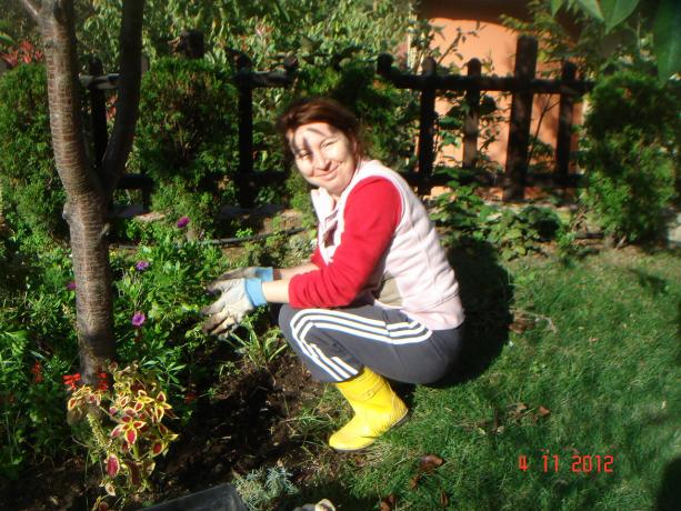 Name:  DSC01344.jpg
Views: 681
Size:  71.6 KB