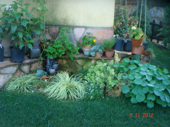Name:  DSC01156.jpg
Views: 676
Size:  62.4 KB