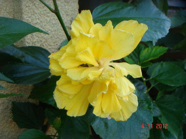 Name:  DSC01356.jpg
Views: 722
Size:  40.6 KB