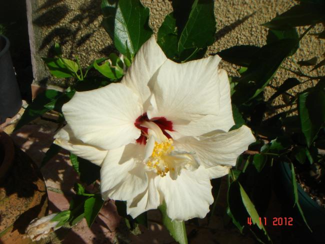 Name:  DSC01346.jpg
Views: 666
Size:  48.1 KB