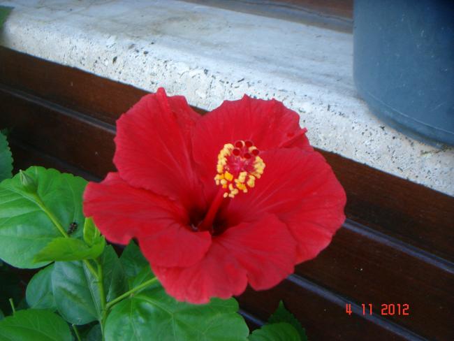 Name:  DSC01354.jpg
Views: 638
Size:  36.8 KB