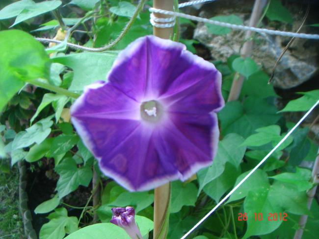 Name:  DSC01036.jpg
Views: 702
Size:  47.6 KB