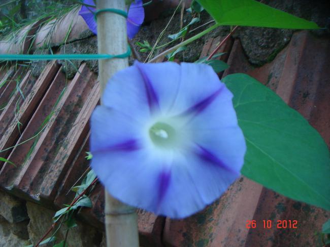 Name:  DSC01037.jpg
Views: 680
Size:  43.2 KB
