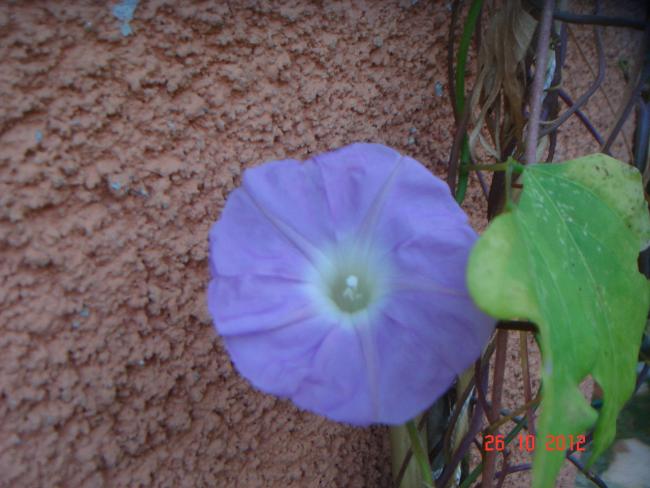 Name:  DSC01044.jpg
Views: 653
Size:  44.1 KB