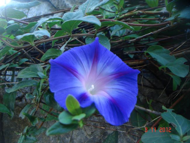 Name:  DSC01147.jpg
Views: 674
Size:  48.8 KB