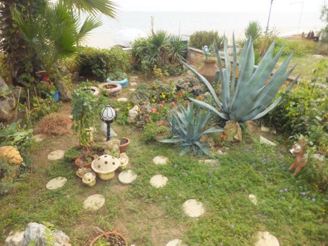 Name:  DSCF6862.jpg
Views: 746
Size:  63.3 KB