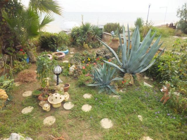 Name:  DSCF6863.jpg
Views: 720
Size:  61.2 KB