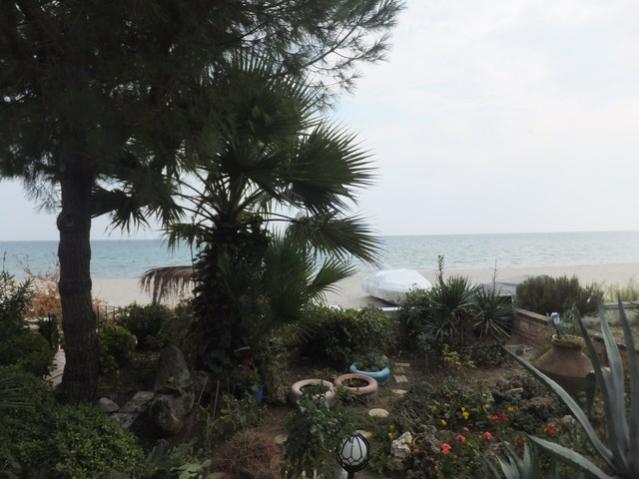 Name:  DSCF6868.jpg
Views: 710
Size:  43.1 KB