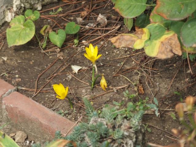 Name:  DSCF6872.jpg
Views: 761
Size:  60.3 KB