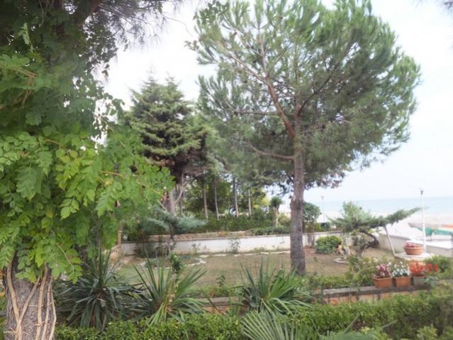 Name:  DSCF6873.jpg
Views: 715
Size:  61.9 KB