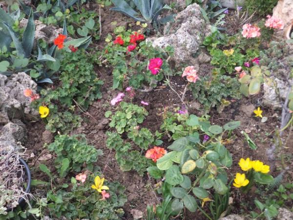 Name:  DSCF6879.jpg
Views: 775
Size:  72.9 KB