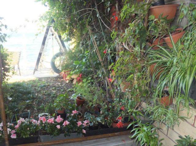 Name:  DSCF7074.jpg
Views: 670
Size:  65.4 KB