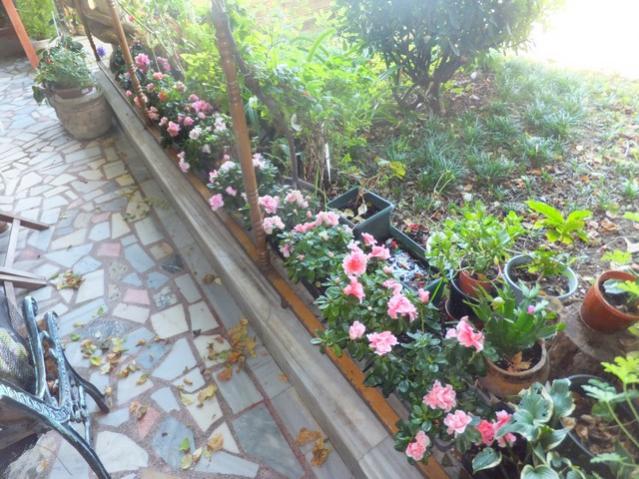 Name:  DSCF7080.jpg
Views: 554
Size:  66.7 KB