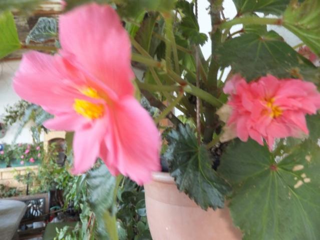 Name:  DSCF7093.jpg
Views: 579
Size:  39.8 KB