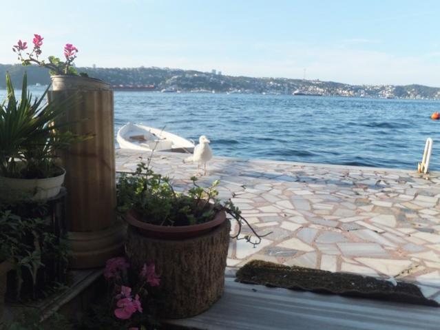 Name:  DSCF7220.jpg
Views: 719
Size:  39.9 KB