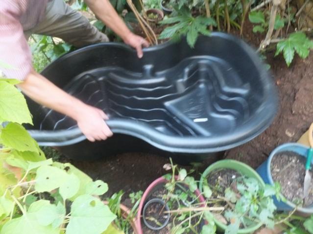 Name:  DSCF7050.jpg
Views: 573
Size:  46.5 KB