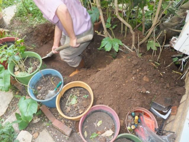 Name:  DSCF7052.jpg
Views: 574
Size:  61.7 KB