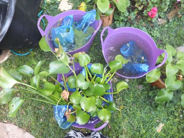 Name:  DSCF7059.jpg
Views: 370
Size:  68.2 KB