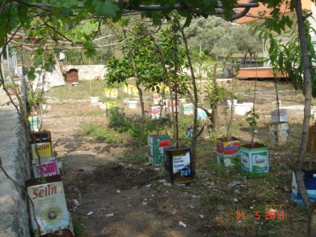 Name:  DSC02353.jpg
Views: 2628
Size:  70.5 KB