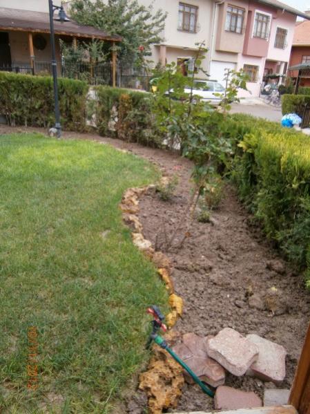 Name:  PB100057 (450 x 600).jpg
Views: 1048
Size:  57.9 KB