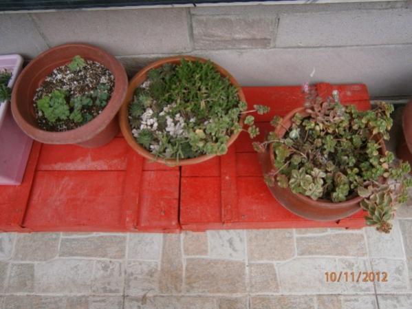 Name:  PB100051 (600 x 450).jpg
Views: 984
Size:  41.2 KB