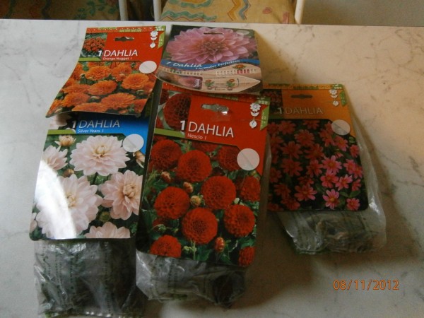 Name:  PB080321 (600 x 450).jpg
Views: 1009
Size:  69.3 KB