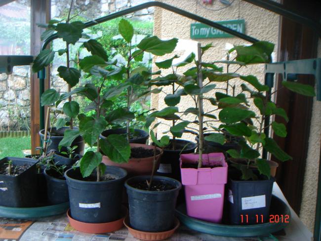 Name:  DSC01551.jpg
Views: 553
Size:  62.6 KB