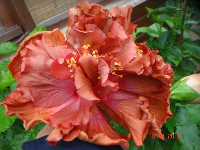 Name:  DSC01472.jpg
Views: 605
Size:  49.9 KB
