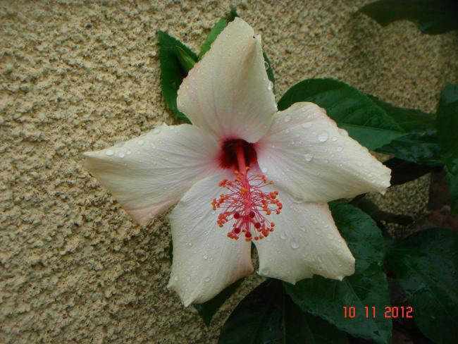 Name:  DSC01479.jpg
Views: 549
Size:  55.8 KB
