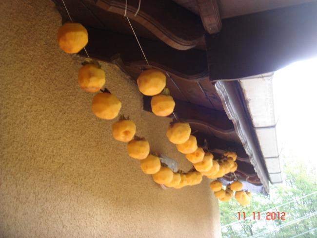 Name:  DSC01566.jpg
Views: 519
Size:  39.2 KB