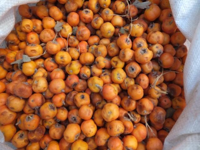 Name:  DSCF7384.jpg
Views: 588
Size:  53.0 KB