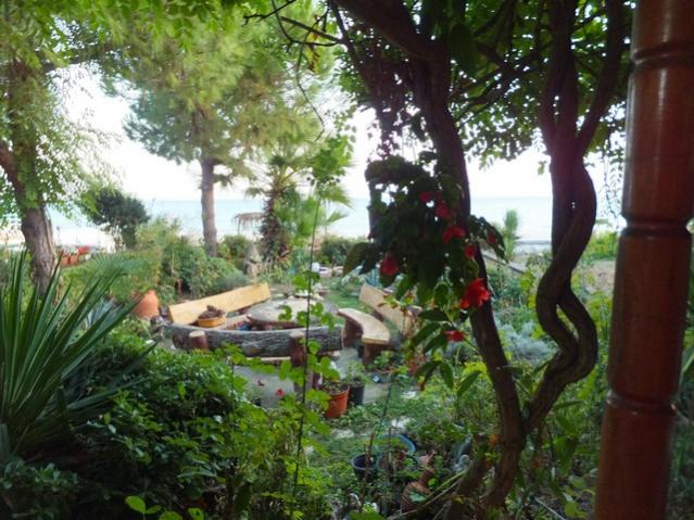 Name:  DSCF7479.jpg
Views: 536
Size:  64.4 KB
