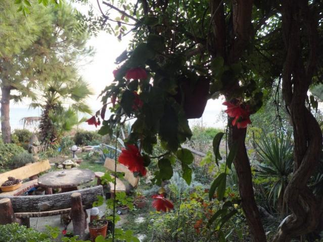 Name:  DSCF7481.jpg
Views: 547
Size:  61.1 KB