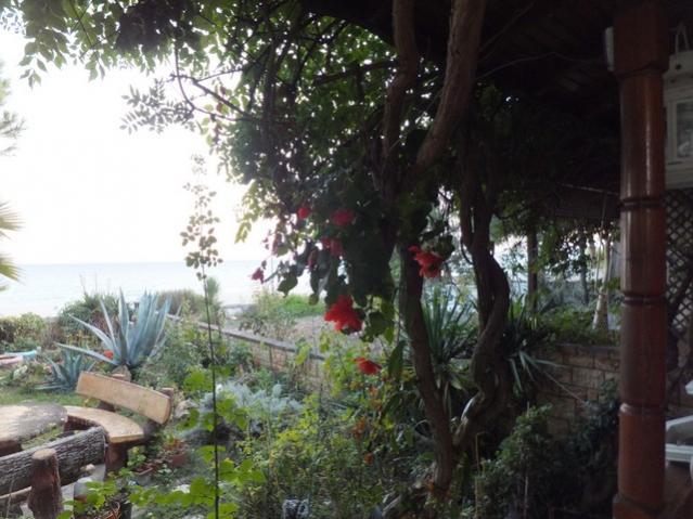 Name:  DSCF7482.jpg
Views: 508
Size:  52.5 KB