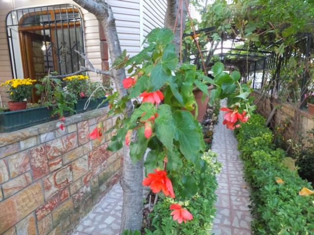 Name:  DSCF7484.jpg
Views: 512
Size:  68.1 KB