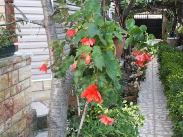 Name:  DSCF7486.jpg
Views: 497
Size:  61.7 KB