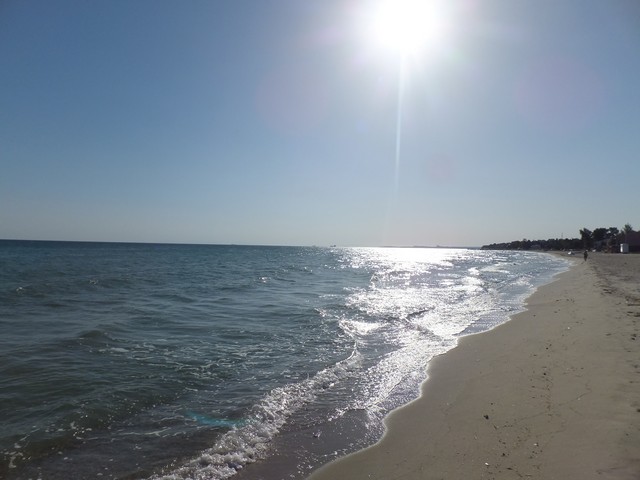 Name:  DSCF7501.jpg
Views: 531
Size:  63.3 KB