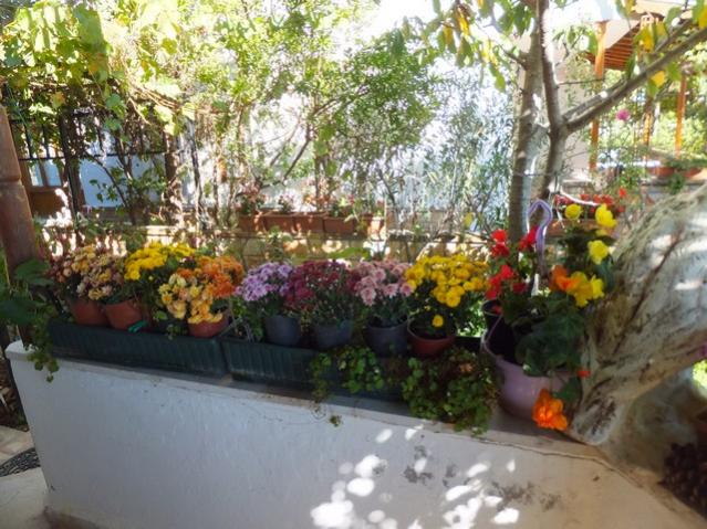 Name:  DSCF7532.jpg
Views: 550
Size:  66.2 KB