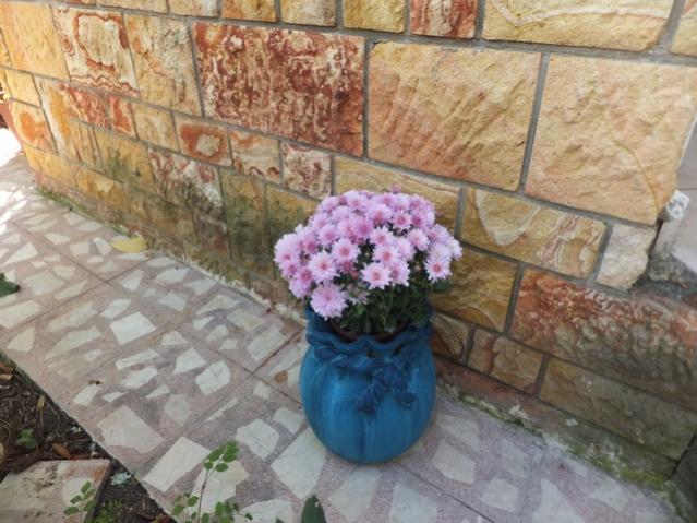 Name:  DSCF7535.jpg
Views: 518
Size:  55.0 KB