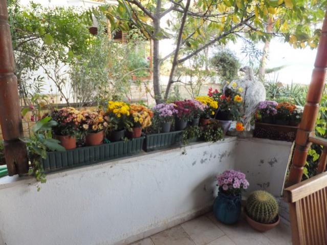 Name:  DSCF7592.jpg
Views: 500
Size:  58.3 KB